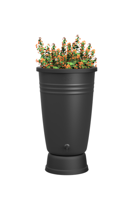 green basics rainbarrel plus 200ltr living black